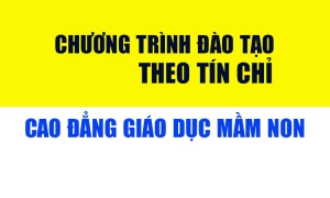 Chương trình đào tạo cao đẳng ngành giáo dục mầm non