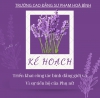 Kế hoạch Triển khai công tác bình đẳng giới và Vì sự tiến bộ của Phụ nữ - Năm 2024