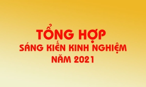 tổng hợp sáng kiến kinh nghiệm năm 2021