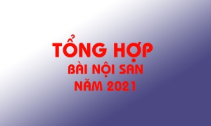 Tổng hợp bài nội san năm 2021