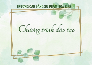 Chương trình đào tạo, đề cương chi tiết học phần ngành Giáo dục Mầm non trình độ  Cao đẳng